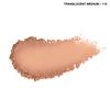 CoverGirl Professional Face Powder - Translucent Medium (115), 0.7 Ounce (Pack of 1)