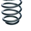 Eibach coil spring front R10199