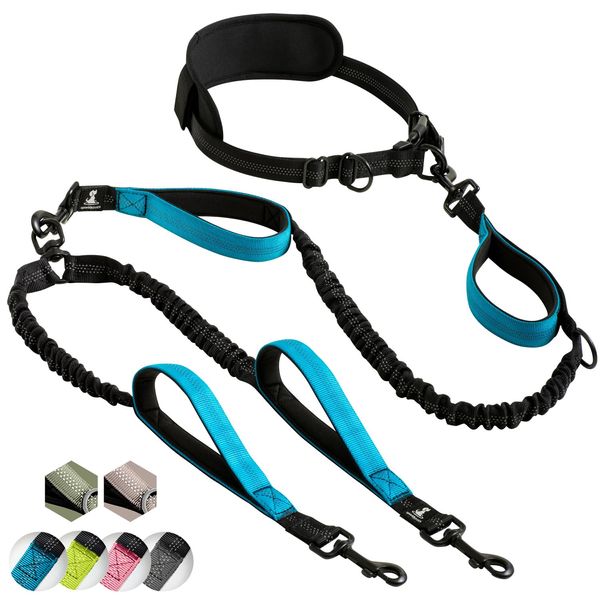 SparklyPets Hands Free Dual Dog Leash for Medium and Large Dogs - Padded Handles, Reflective Stitches, No Pull, Tangle Free Blue