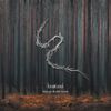 Through Shaded Woods (Gatefold Sleeve) (LP) [VINYL]