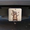 GRAPHICS & MORE Squirrel Juggling His Nuts Crazy Funny Tow Trailer Hitch Cover Plug Insert