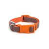 Ancol Patterned Collection Reflective Bone Collar size 1-2 to fit neck circumference 20-30 cm, Orange