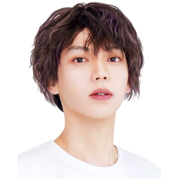 TefuRe MEN-004-BkPpM Men's Short Wig, Spiral Perm, Curl, Fluffy, Heat Resistant, Full Wig, Men's Clothing, Korean Matte Fiber, Natural, Wig Net Included, Black/Purple Mesh