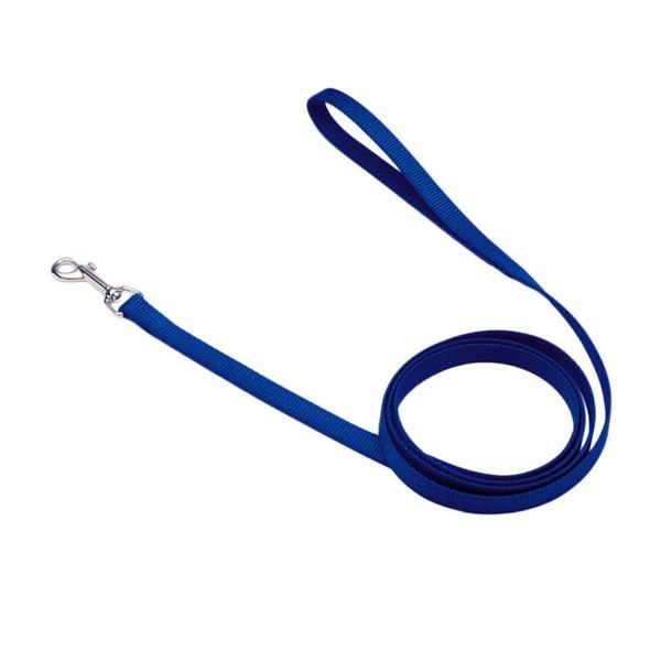 Coastal Pet Nylon Dog Leash with Bolt Snap, 3/8" x 4-Feet, Blue