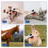 Cold Laser LLLT Powerful Handheld Pain Relief Laser Therapy Device / Human Pets