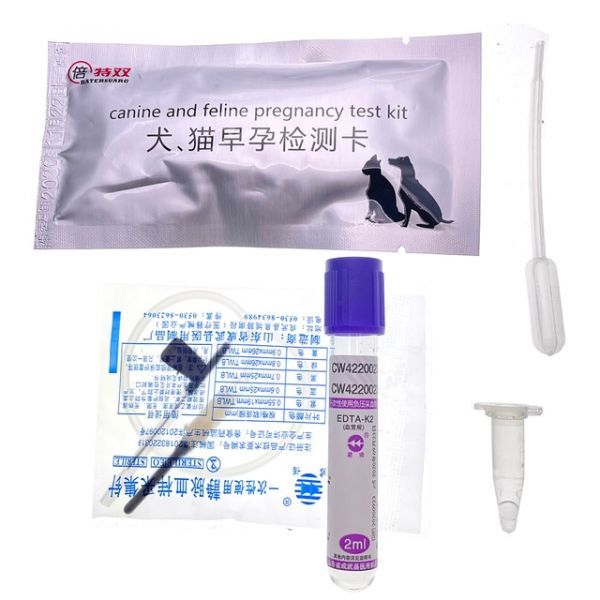 1PCS Pet Canine Cat Early Pregnancy Blood Serum Test Strip Card Dog and Clinic Home Use Alaskan Dalmatian Bichon, [01] 1 Pcs