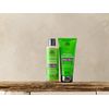 Urtekram Aloe Vera Shampoo Bio, trockenes Haar, 250 ml