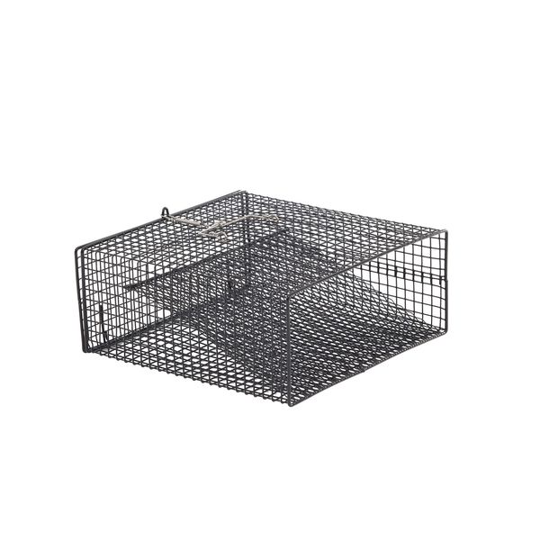 Frabill Flat-Bottom Crawfish Trap | Low-Profile Square Trap Specifically Designed for Crawfish