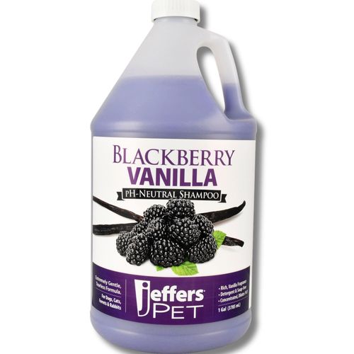 Jeffers Equine Black Coat Shampoo for Horses – Enhances Black & Bay Coats, Soap & Detergent Free, Coconut Oil Formula with Aloe & Vitamin E – Deep Cleansing Horse Grooming & Show Prep – 16 oz