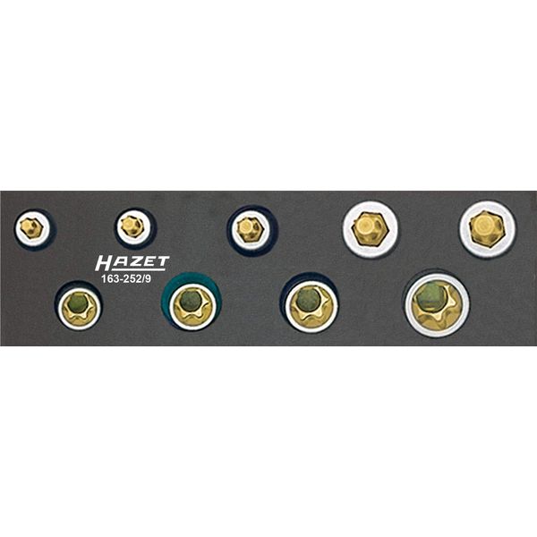 Hazet 163-252/9 Werkzeug-Satz