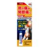 【第2類医薬品】ビーエスバンDXゲル 60g