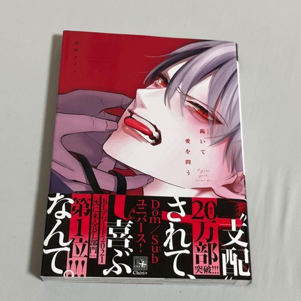 Kneeling and Asking Love BL Comics BL Manga