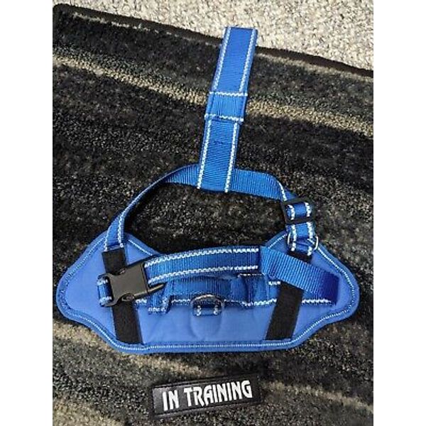 Dog Harness S Adjustable Padded Durable Outdoor Vest Training Pet New Blue