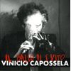 Il Ballo Di San Vito