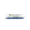 WYNDMERE NATURALS Spearmint Inhaler, 1 EA