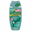 Palmolive Duschgel Thermal Revitalizing - 6er Pack (6x 250ml)