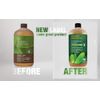 Desert Essence Face Wash Thrghly Clean Refill