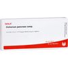 CICHORIUM PANCREAS COMP. Ampoules 10 x 1 ml
