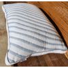iSuke Cervical Memory Foam Pillow for Neck Pain Relief Ergonomic Neck Support