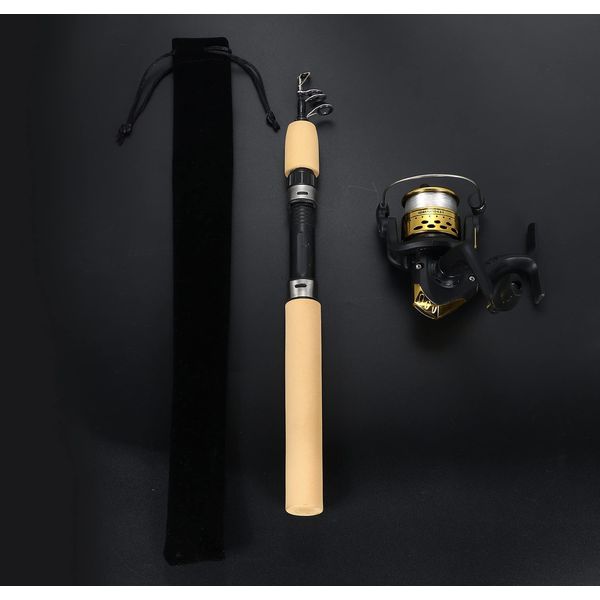 VILTAGE Fishing Rod Set (Compact Rod Spinning Reel) Rod Total Length 39.4 inches (100 cm) with Line (Gold) Rod Case Included