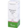 Pflügerplex Aesculus 127, 50 ml TRO