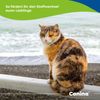 Canina Salmon Oil 250g