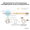 Soladey Rhythm 2, Ionic Power Electric Toothbrush, Solar Panels and TiO2 Semiconductor (Snow White), Ready to use Ionic Toothbrush