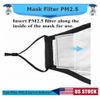 Replaceable Face Mask Carbon Filter PM 2.5 (20 Pack)-IN STOCK USA