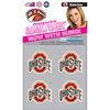 The Ohio State University Temporary Tattoo and Fan Tailgate Bundle