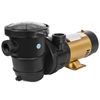 1.5HP High-Flow 2-Speed Above Ground Swimming Pool Pump Energy Efficient