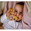 Organic Wooden Rattle-Teether Horse
