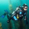 Scubapro Everflex Gauntlet Dive Glove, 5mm, 2X-Small
