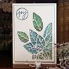 Sizzix Thinlits Die Set 664212, Poinsettia Pieces by Tim Holtz, 3 Pack, One Size, Multi-Colour Colour