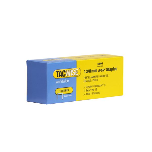 Tacwise 0234 13/ 8mm Staples for Staple Gun (Pack of 5000)