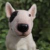 Vivid Arts - Bull Terrier Black/White - XRL-BLT4-D