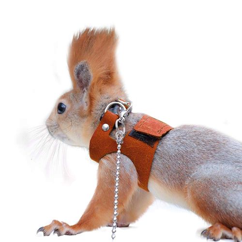 Squirrel Traction Rope with 1.8m Lead Leah, Adjustable Small Animal Walking Harness, Anti-Biting Chain Rope Vest Strap for Hamster Gerbil Rat Mouse Ferret Chinchilla and Small Animals
