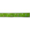 toyomitsu (豊光) Training Tube TMC Exercise irasutorettibando GF – 505 