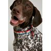 Rosewood Joules Rainbow Stripe Dog Collar Large