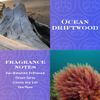 HomeWorx by SLATKIN + CO. Ocean Driftwood Reed Stick Diffuser