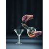 BODUM Cocktail Kit, 68-Ounce, Cork
