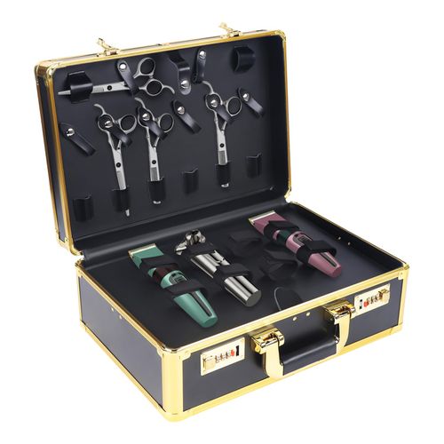 RocoReny Barber Case Clipper Bag,Professional Portable Barber Travel Carrying Case with Portable Handle＆Secure Numlock for Hair Stylist Pet Groomer Beauty Salon Makeup Artist (Gold 15.74*10.8*6.5in)