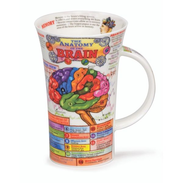 Dunoon Glencoe Fine China Educational THE BRAIN Mug Cup 500ml