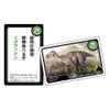 Beverly Dinosaur Carta [Real CG Art] Dinosaur Commentary with Beverly
