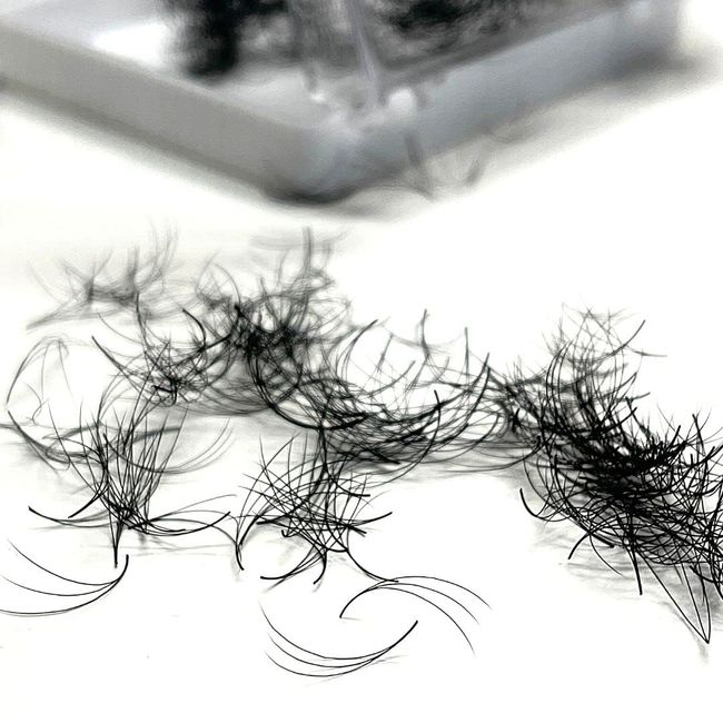 Linny Lashes 3D Wimpernfächer CC-Curl Wimpernverlängerungen – 500 fertige Fächer, handgefertigt, vorgefächert, Premade Fans (10mm)