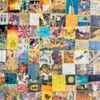 Fresh & Onlys - Early Years Anthology