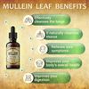 Mullein Leaf Extract 4oz - Organic Verbascum Thapsus Liquid