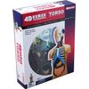 4D Vision Human Anatomy Torso Model