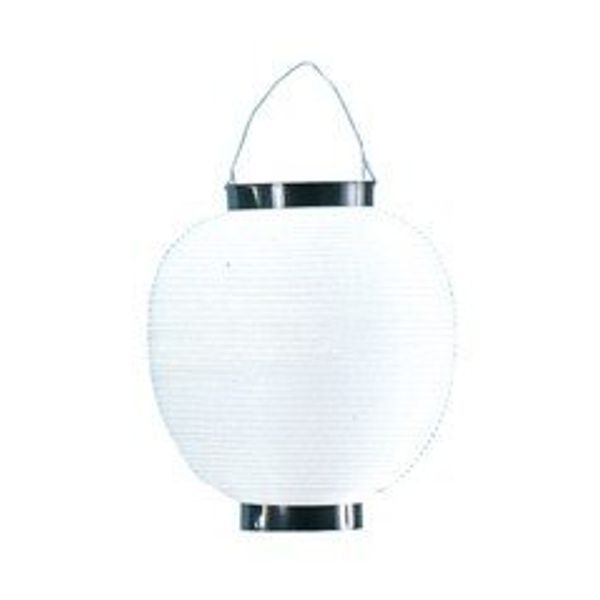 Poly Paper Lanterns/Lanterns, 6 Colors (White)