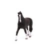 13927 - Hanoverian mare, black