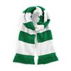 Varistiy Scarf Kelly Green/White